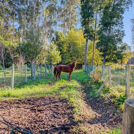 Casa Do Moinho Rural Campo E , 9 Pessoas, Animais Benvindos Prázdninový dům Espinho (Aveiro)