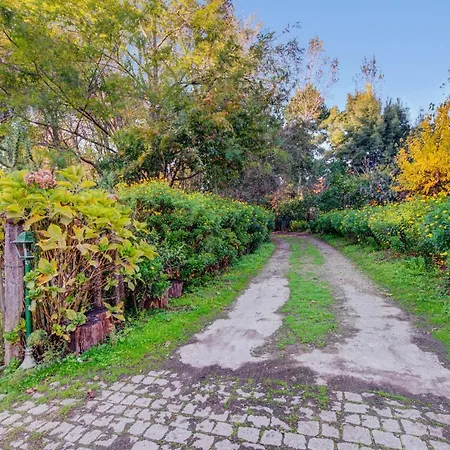 Casa Do Moinho Rural Campo E , 9 Pessoas, Animais Benvindos