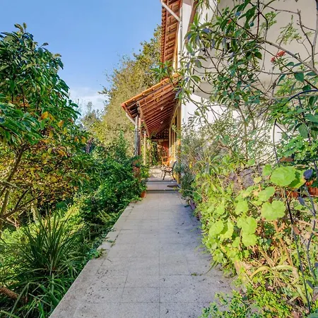 Casa Do Moinho Rural Campo E , 9 Pessoas, Animais Benvindos Ferienhaus *