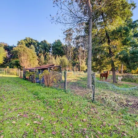 Ferienhaus Casa Do Moinho Rural Campo E , 9 Pessoas, Animais Benvindos