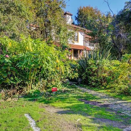 Casa Do Moinho Rural Campo E , 9 Pessoas, Animais Benvindos * Эшпинью