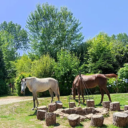 Casa Do Moinho Rural Campo E , 9 Pessoas, Animais Benvindos Casa de Férias Espinho (Aveiro)