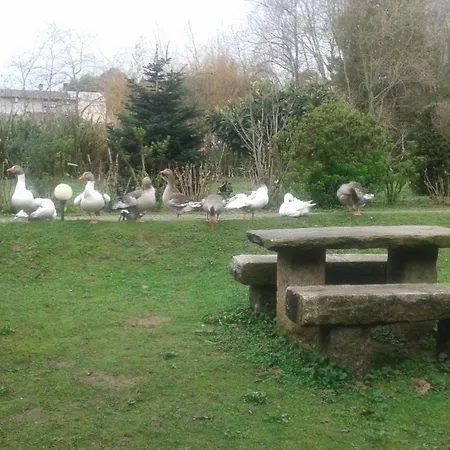 Casa Do Moinho Rural Campo E , 9 Pessoas, Animais Benvindos *