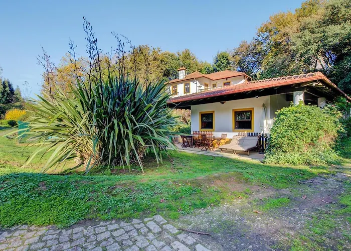 Casa Do Moinho Rural Campo E , 9 Pessoas, Animais Benvindos Эшпинью