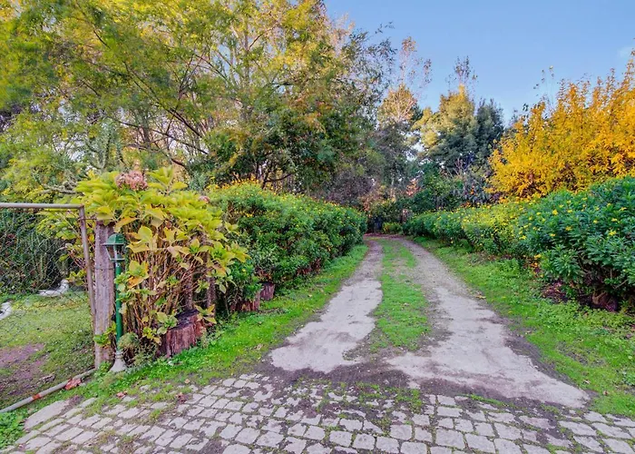 Casa Do Moinho Rural Campo E , 9 Pessoas, Animais Benvindos
