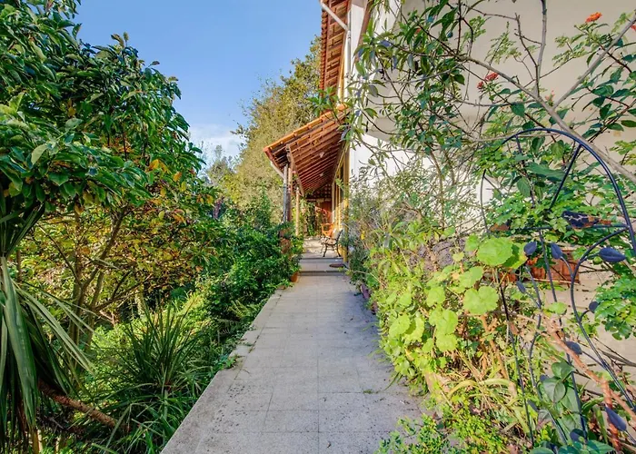 Casa Do Moinho Rural Campo E , 9 Pessoas, Animais Benvindos Nyaraló *