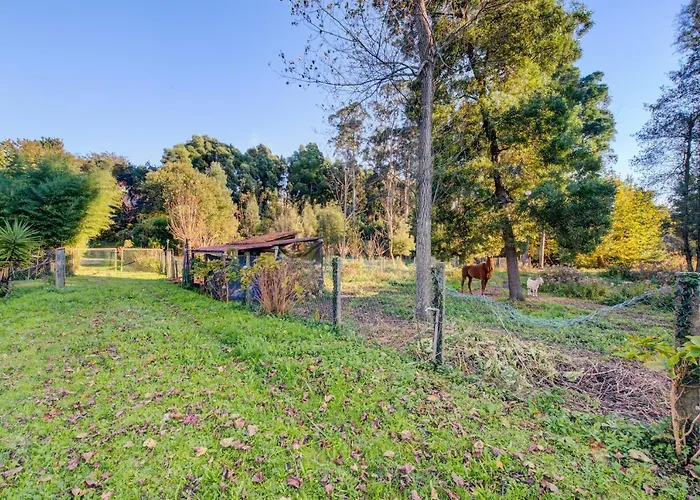 Nyaraló Casa Do Moinho Rural Campo E , 9 Pessoas, Animais Benvindos