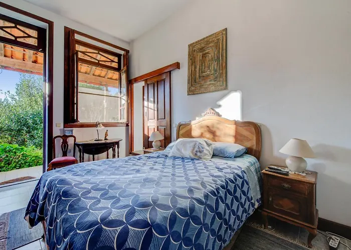 Casa Do Moinho Rural Campo E , 9 Pessoas, Animais Benvindos Nyaraló