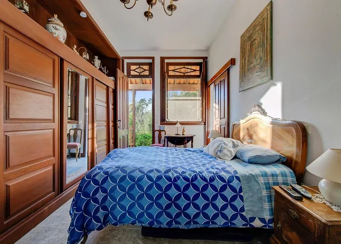 Casa Do Moinho Rural Campo E , 9 Pessoas, Animais Benvindos Hébergement de vacances Espinho (Aveiro)