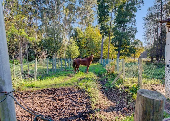 Casa Do Moinho Rural Campo E , 9 Pessoas, Animais Benvindos Dom wakacyjny Espinho (Aveiro)