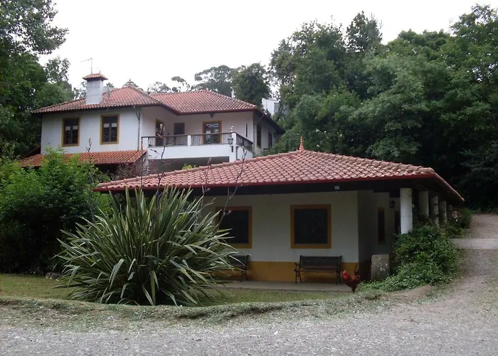 Casa Do Moinho Rural Campo E , 9 Pessoas, Animais Benvindos * Espinho