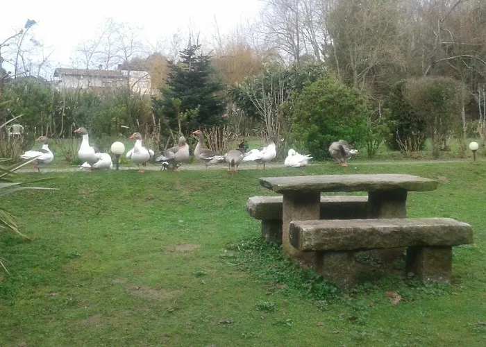 Casa Do Moinho Rural Campo E , 9 Pessoas, Animais Benvindos *